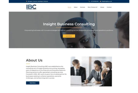 insightbc.co.za website, built by Hostking